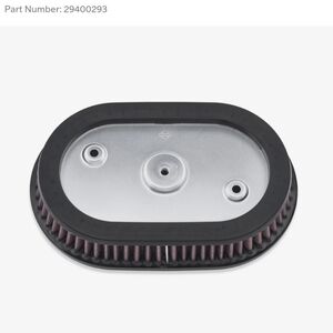 K&N Screaming Eagle Filter 29400293